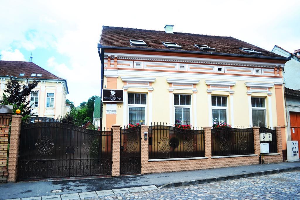 Pensiunea Lucia Sfantu Gheorghe  Exterior photo
